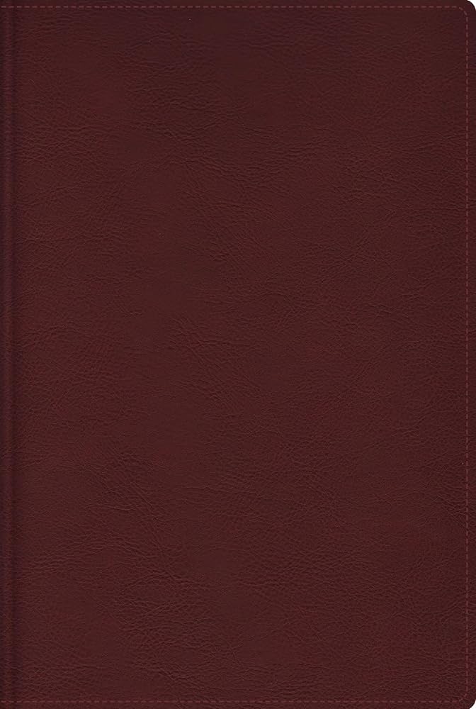 RVR, Biblia de estudio trasfondo cultural, Leathersoft, Rojo vino, Interior a color, Comfort Print: Explora el mundo antiguo de la Escritura (Spanish Edition) cover image