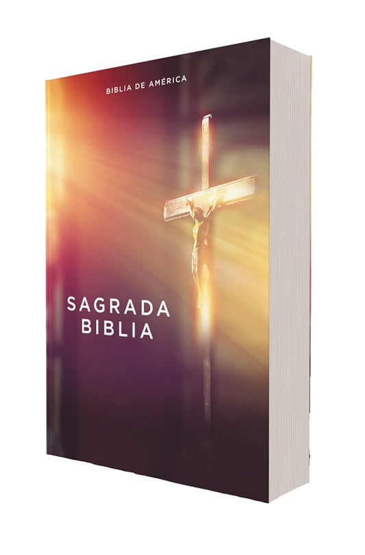 Biblia Católica, Edición Económica, Tapa Rústica, Comfort Print (Spanish Edition) cover image
