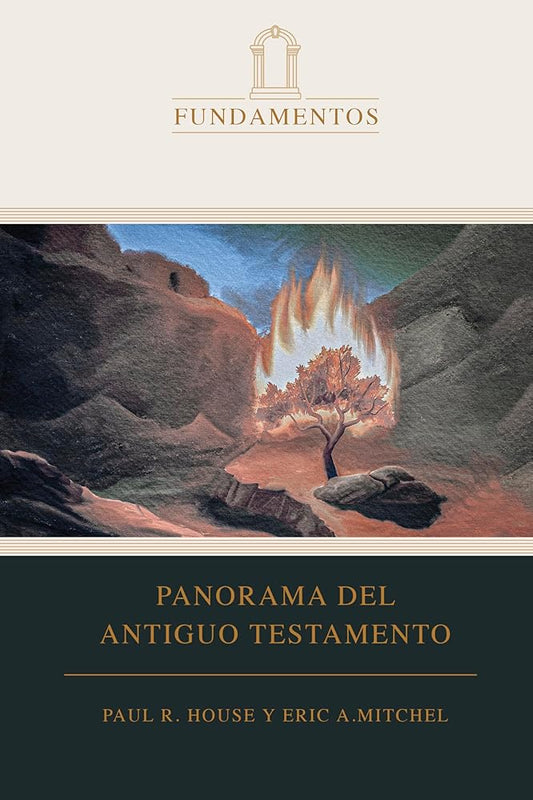 Panorama del Antiguo Testamento (SPA O.T. Overview) (Spanish Edition) cover image