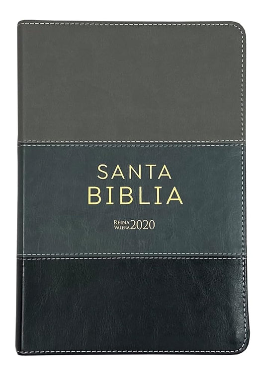 Biblia Reina Valera 2020 Letra Grande 12 pts Tricolor Gris Imitación piel Concordancia Referencias y Palabras de Cristo en Rojo cover image