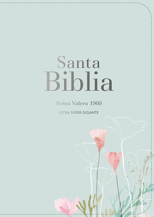 Santa Biblia / Holy Bible: Reina Valera 1960 Símil pel menta fresca, Palabras de Jesus en rojo, Mapas a todo color, notas a pie de pagina, super ... Red, Color Maps, Footnotes, Super Giant Print cover image