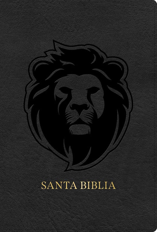 RVR 1960 Biblia letra grande tamaño manual edición especial, ceniza, símil piel (RVR 1960 Hand Size Giant Print, Ash, LeatherTouch Special Edition) (Spanish Edition) cover image