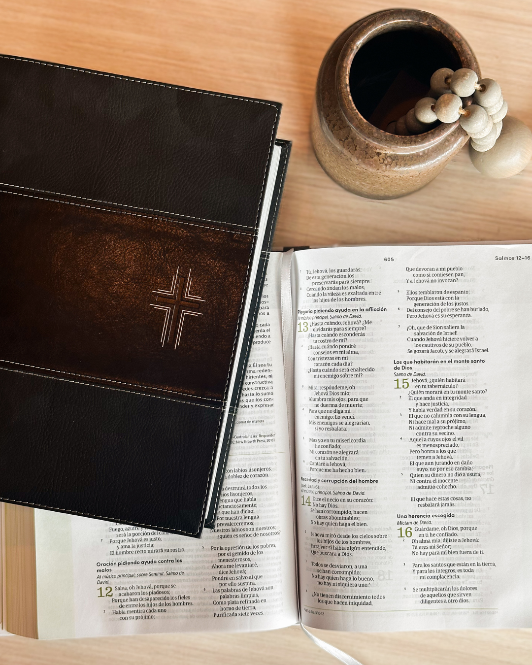 Biblias para hombres