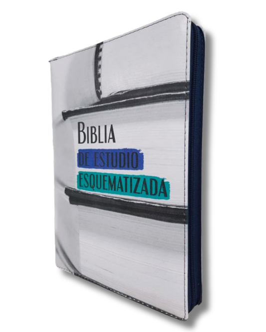 Biblia de Estudio Esquematizada | (RVR1960), Tapa en imitación cuero, borde de páginas en plateado