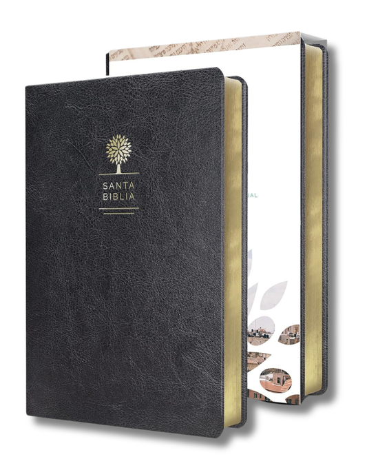 Santa Biblia | (Reina Valera 1960), Letra grande, Símil piel, color negro