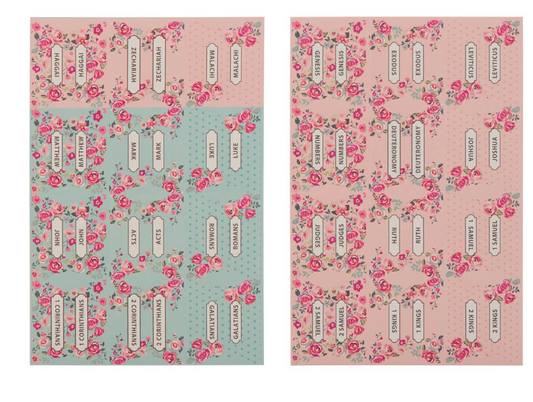Pink and Blue Old and New Testament Bible Indexing Tabs (indices en Inglés)