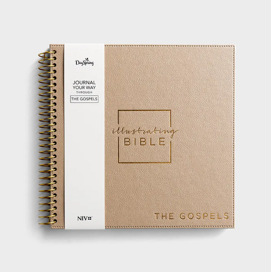 NIV - Illustrating Bible - The Gospels