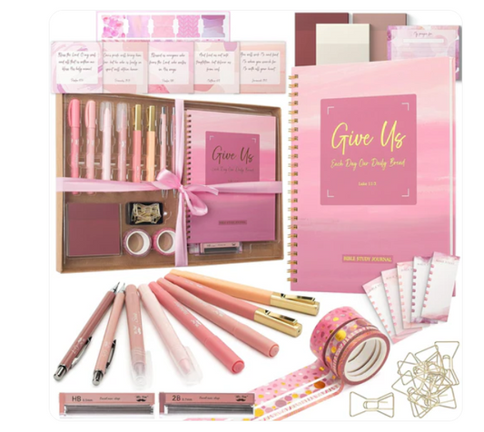 Kit de registro bíblico rosa