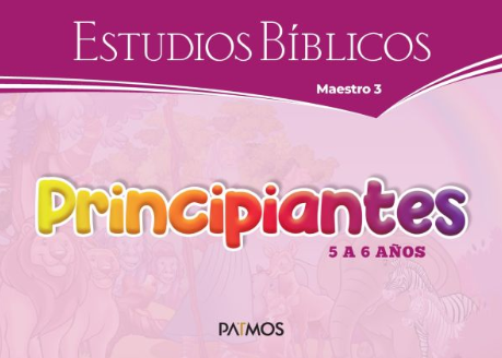 Principiantes Visuales Semestre 2-2025