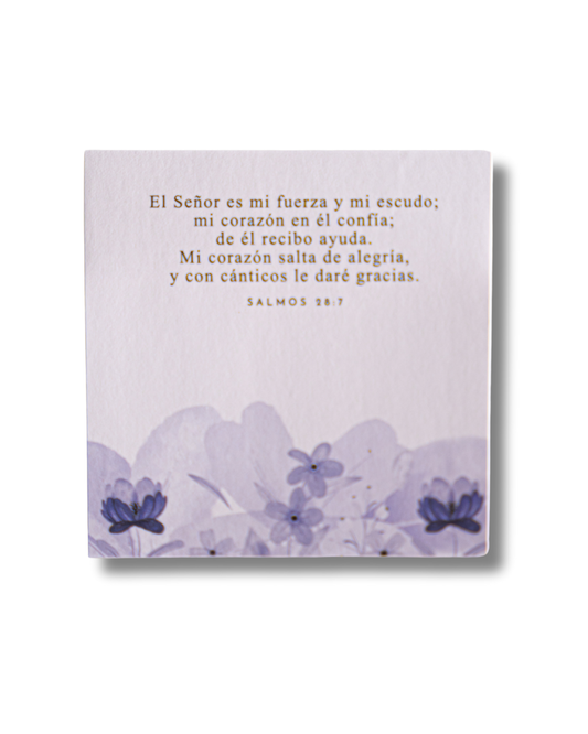 Sticky Notes | Fuerza