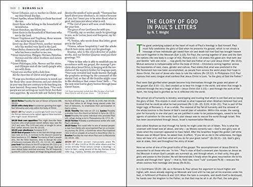 NIV, Faithlife Illustrated Study Bible, Leathersoft, Gray/Black: Biblical Insights You Can See - Pura Vida Books