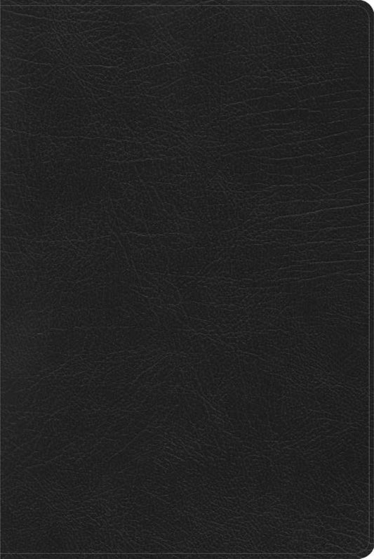 RVR 1960 Biblia de Estudio Arcoiris, negro símil piel - Pura Vida Books