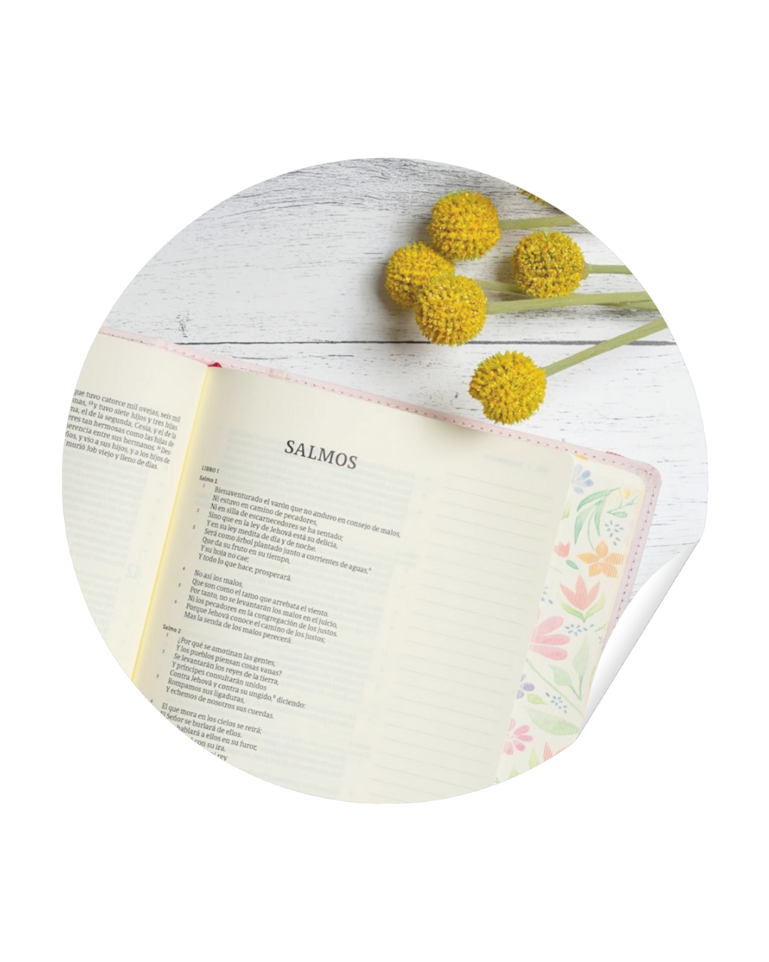 Biblias de Apuntes | Journaling