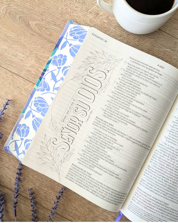 Biblias para regalar