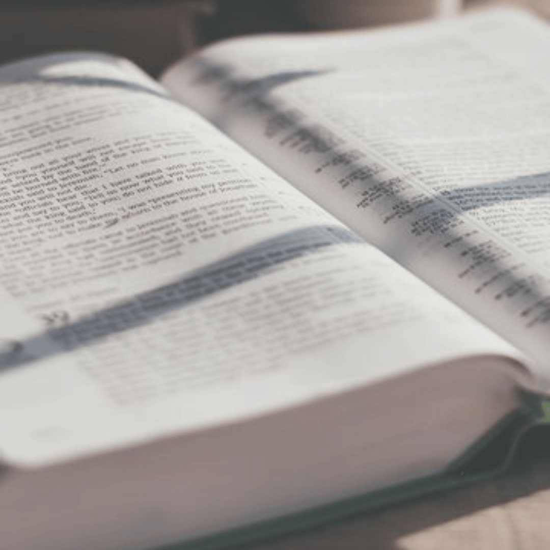 Biblias | Con Concordancia