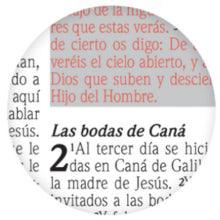 Santa Biblia de Promesas Reina-Valera 1960 | Letra Gigante - 13 puntos | Piel Especial | Floral | - Pura Vida Books