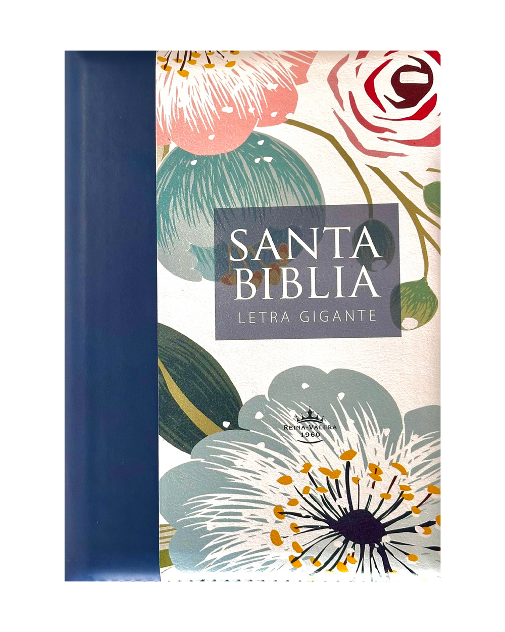 Santa Biblia Reina Valera 1960 | Letra Gigante 14 puntos con cierre e índice