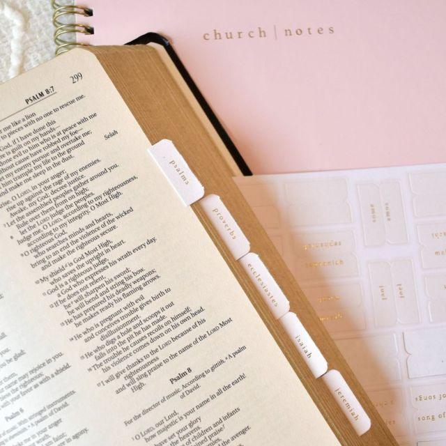 Bible Tabs - Pink and Cream - Pura Vida Books