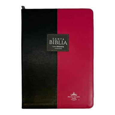 Biblia RVR 1960 - Pura Vida Books