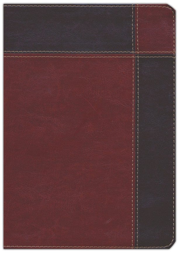 Biblia de Estudio Ryrie RVR1960: Edición Ampliada y Actualizada (Dúo-Tono Marrón con Indice)