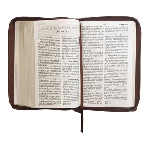 Biblia RVR 1960 Letra Grande Tamaño Manual Símil Piel Café con Cierre