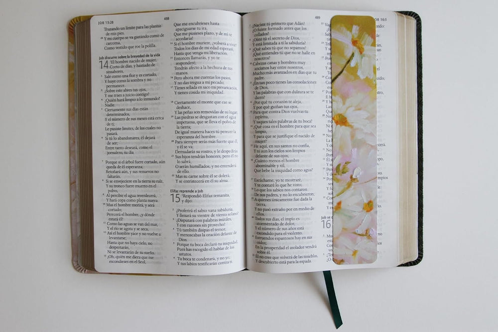 Biblia Reina Valera 1960 letra grande. Piel verde con flores, tamaño manual