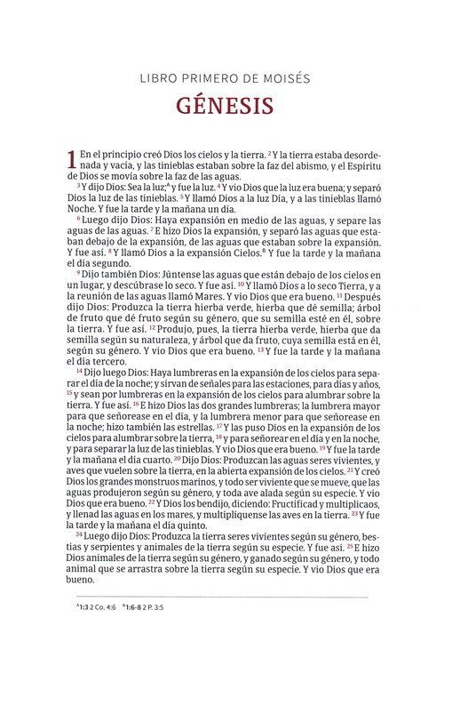 Biblia Devocional Reina Valera 1960 Centrada en Cristo, Edición Matizada, Símil Piel