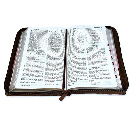 Biblia para Mujeres Letra Grande 12 puntos con Cierre RV1960 tricolor Rosa con indice