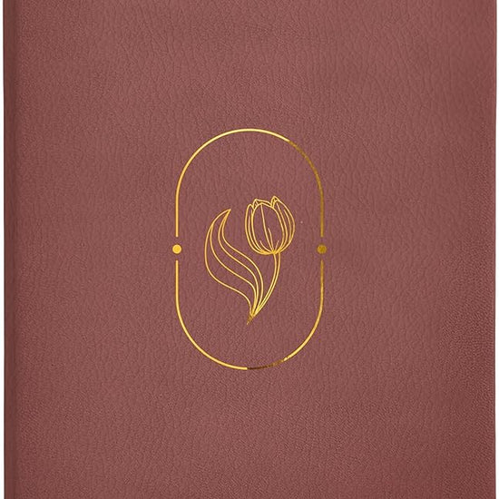 Biblia de Promesas RVR-1960, Virtuosa, Letra gigante, Piel especial, Rosa (Spanish Edition) cover image