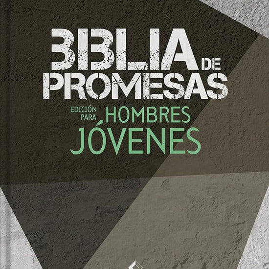 Biblia de Promesas Edición para Hombres NTV (Spanish Edition) cover image