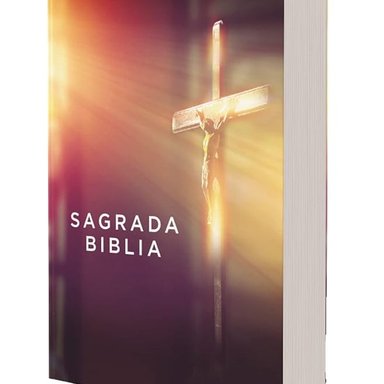 Biblia Católica, Edición Económica, Tapa Rústica, Comfort Print (Spanish Edition) cover image