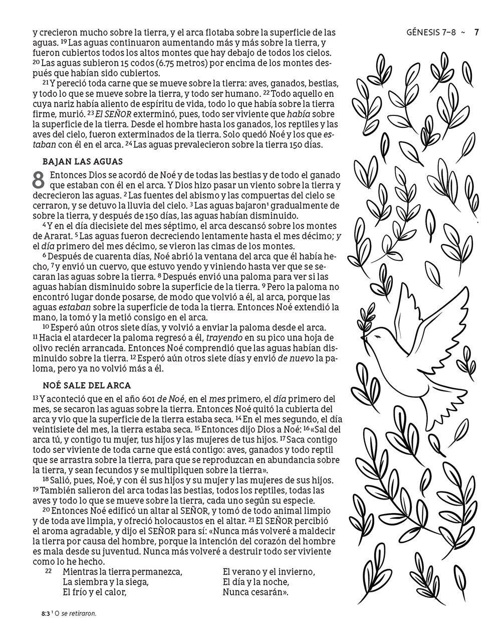 Biblia Edición Artística Ilustrada NBLA - Pura Vida Books