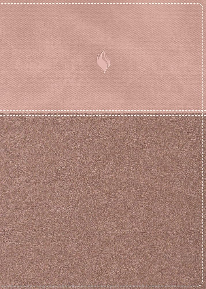 RVR60, Biblia de estudio de la vida plena, Edición clásica, Leathersoft dos tonos Oro rosa, Palabras de Jesús en rojo, Comfort Print (Spanish Edition) cover image