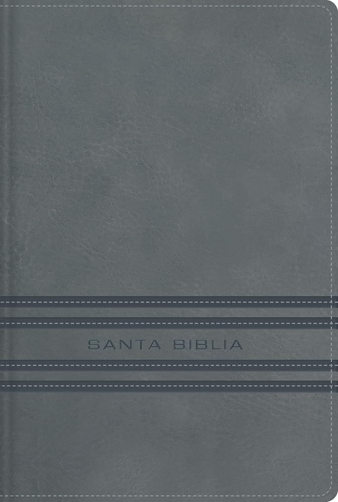 NBLA, Santa Biblia, Edición versificada, Tamaño bolsillo, Leathersoft, Gris, Palabras de Jesús en rojo, Comfort Print (Spanish Edition) cover image