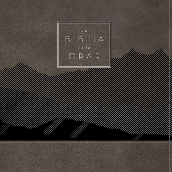 RVR60, La Biblia para orar, Leathersoft, Gris, Palabras de Jesús en rojo, Comfort Print: Ora la Palabra de Dios de principio a fin (Spanish Edition) cover image