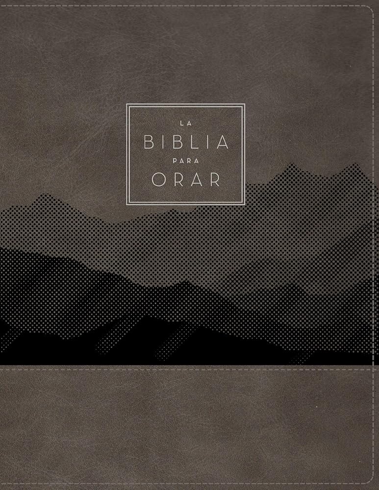 RVR60, La Biblia para orar, Leathersoft, Gris, Palabras de Jesús en rojo, Comfort Print: Ora la Palabra de Dios de principio a fin (Spanish Edition) cover image