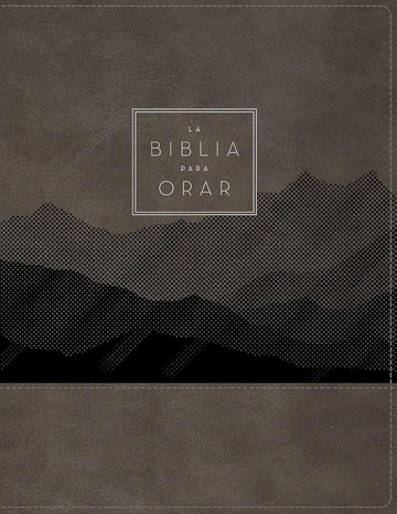 RVR60, La Biblia para orar, Leathersoft, Gris, Palabras de Jesús en rojo, Comfort Print: Ora la Palabra de Dios de principio a fin (Spanish Edition) cover image