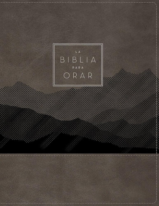RVR60, La Biblia para orar, Leathersoft, Gris, Palabras de Jesús en rojo, Comfort Print: Ora la Palabra de Dios de principio a fin (Spanish Edition) cover image