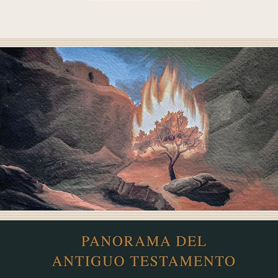 Panorama del Antiguo Testamento (SPA O.T. Overview) (Spanish Edition) cover image