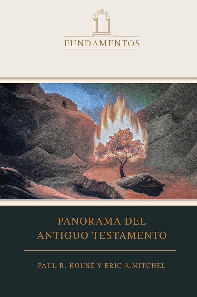 Panorama del Antiguo Testamento (SPA O.T. Overview) (Spanish Edition) cover image