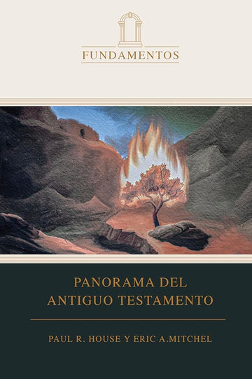 Panorama del Antiguo Testamento (SPA O.T. Overview) (Spanish Edition) cover image