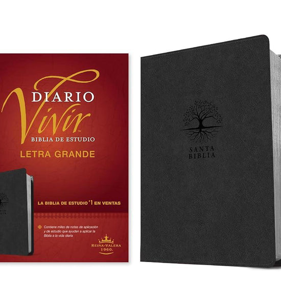 Biblia de estudio del diario vivir RVR60, letra grande (SentiPiel, Carbón, Letra Roja) (Spanish Edition) cover image