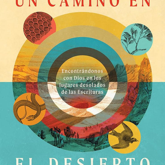 Un camino en el desierto: Encontrándonos con Dios en los lugares desolados de las Escrituras--Un estudio bíblico de 6 semanas con acceso a video (IVP Bible Study Experience) (Spanish Edition) cover image