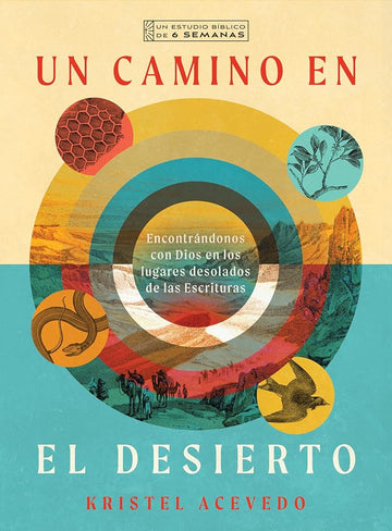 Un camino en el desierto: Encontrándonos con Dios en los lugares desolados de las Escrituras--Un estudio bíblico de 6 semanas con acceso a video (IVP Bible Study Experience) (Spanish Edition) cover image