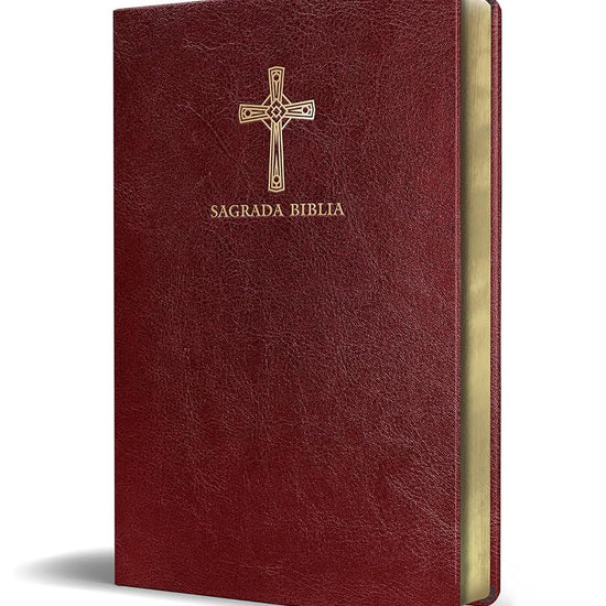 Biblia Católica en español. Símil piel vinotinto, tamaño compacto / Catholic Bible. Spanish-Language, Leathersoft, Wine, Compact (Spanish Edition) cover image