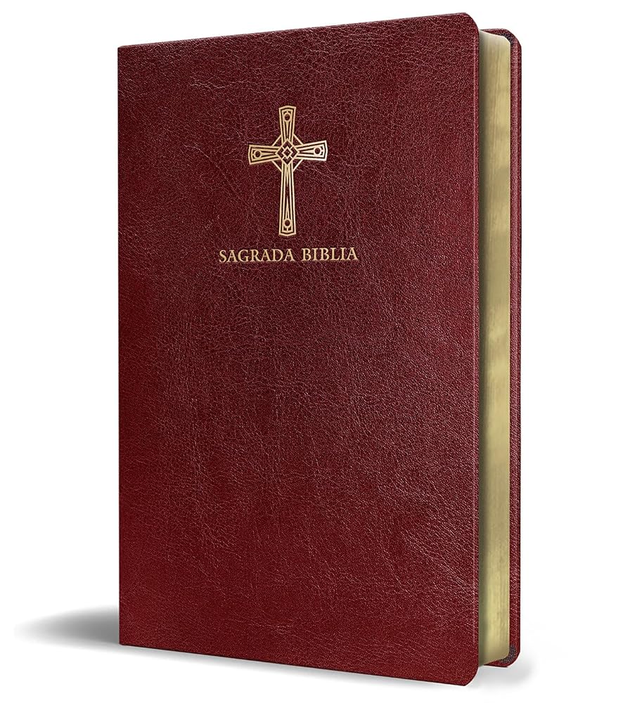 Biblia Católica en español. Símil piel vinotinto, tamaño compacto / Catholic Bible. Spanish-Language, Leathersoft, Wine, Compact (Spanish Edition) cover image