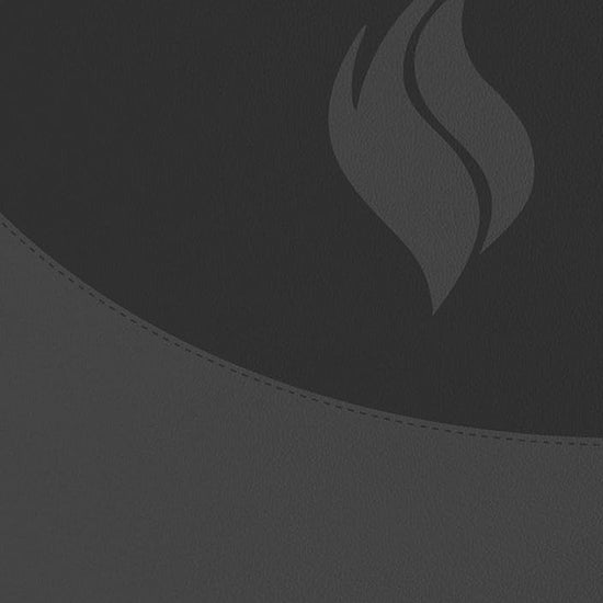 Biblia de Estudio Vida Plena - Ampliada y Actualizada (Imitación piel negro) / Full Life Study Bible - Expanded and Updated (Black Leatherette) cover image