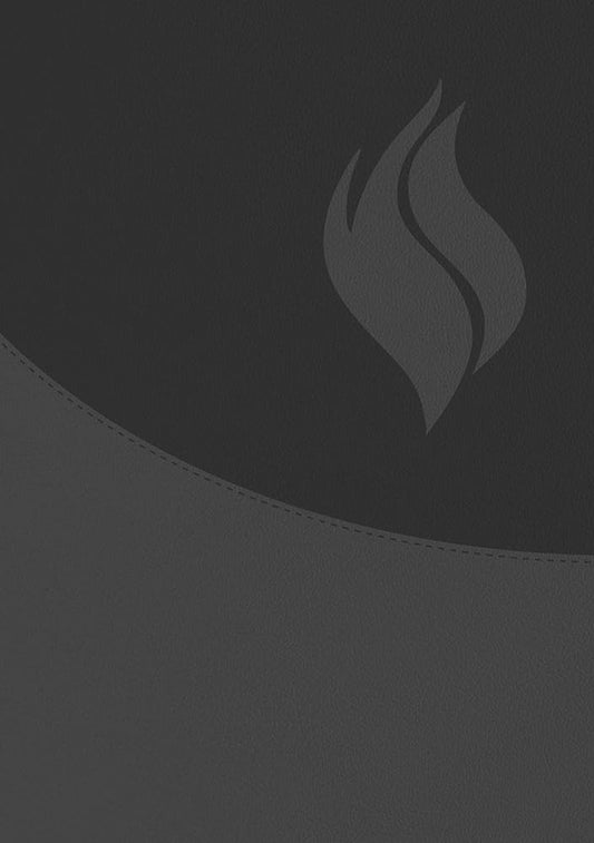 Biblia de Estudio Vida Plena - Ampliada y Actualizada (Imitación piel negro) / Full Life Study Bible - Expanded and Updated (Black Leatherette) cover image