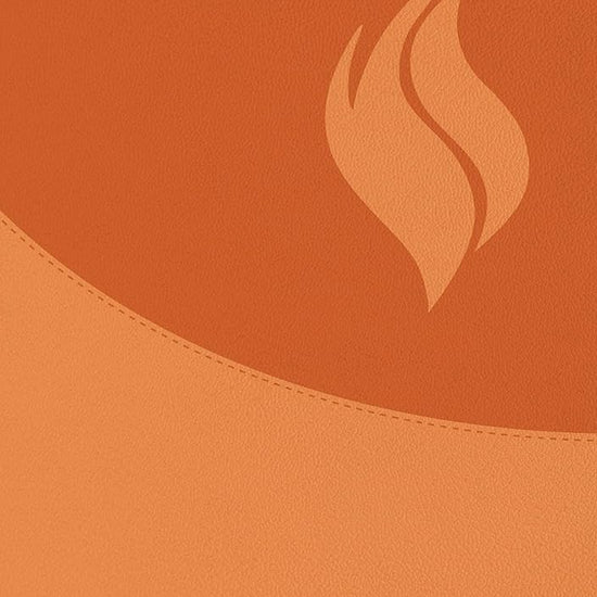 Biblia de Estudio Vida Plena - Ampliada y Actualizada (Imitación piel marrón) / Full Life Study Bible - Expanded and Updated (Brown Leatherette) cover image
