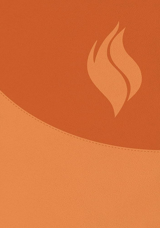 Biblia de Estudio Vida Plena - Ampliada y Actualizada (Imitación piel marrón) / Full Life Study Bible - Expanded and Updated (Brown Leatherette) cover image